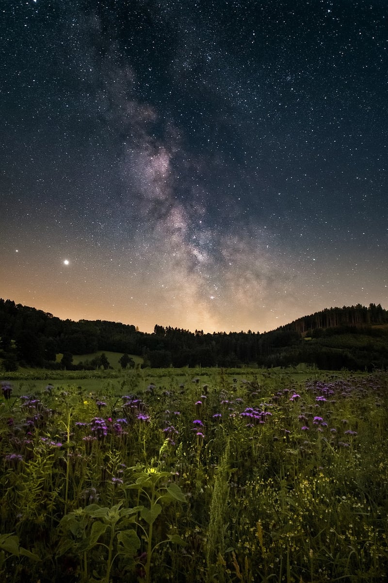 Galactic Adventure